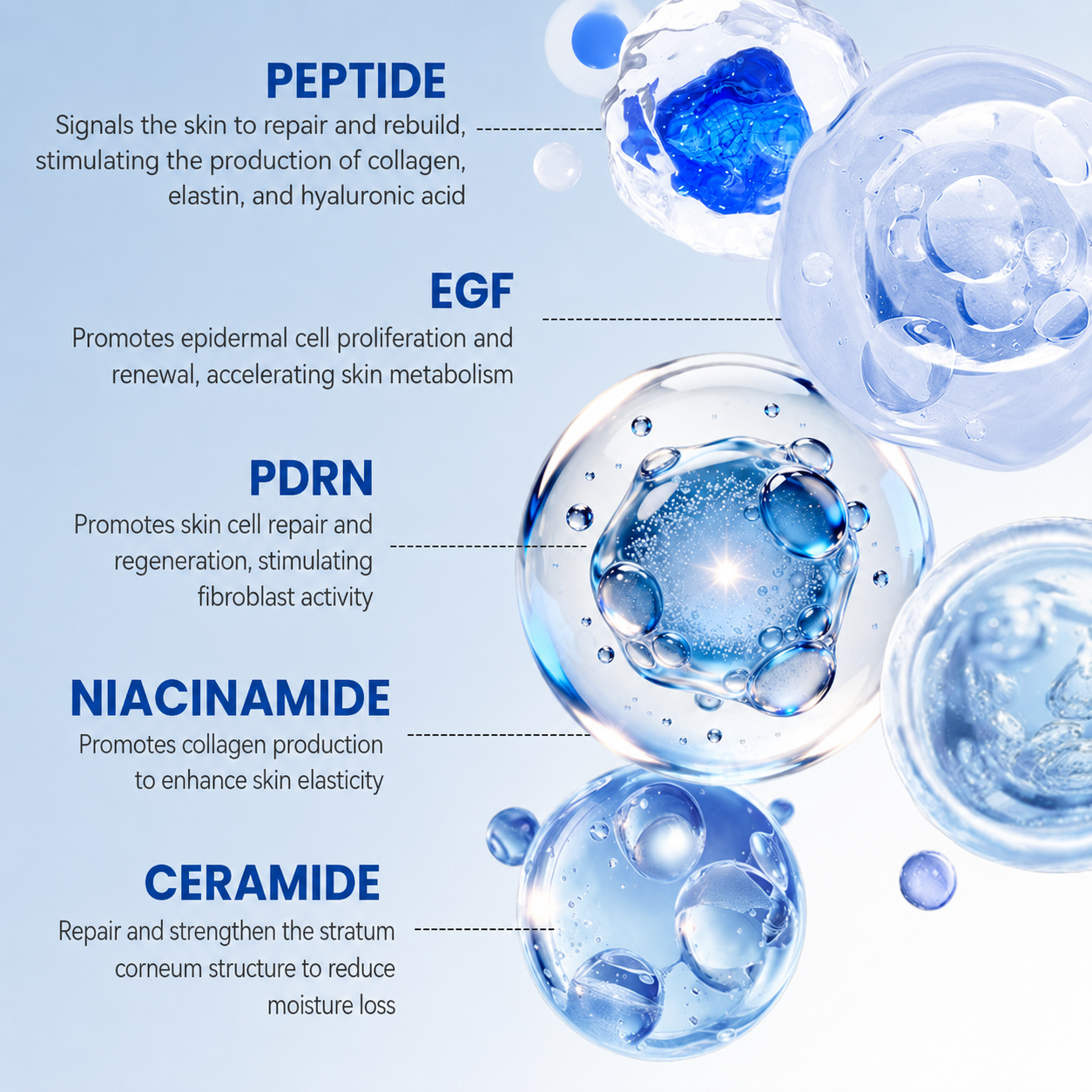 JOYIVORA PDRN WRINKLE-LIFT TIGHTENING CREAM