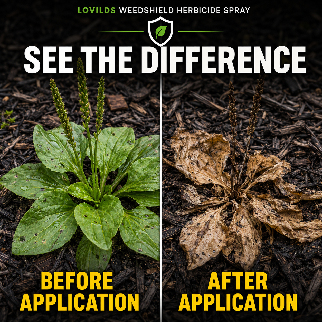🌿🔥 LOVILDS Fast-Acting Weed Control Spray 💦⚡
